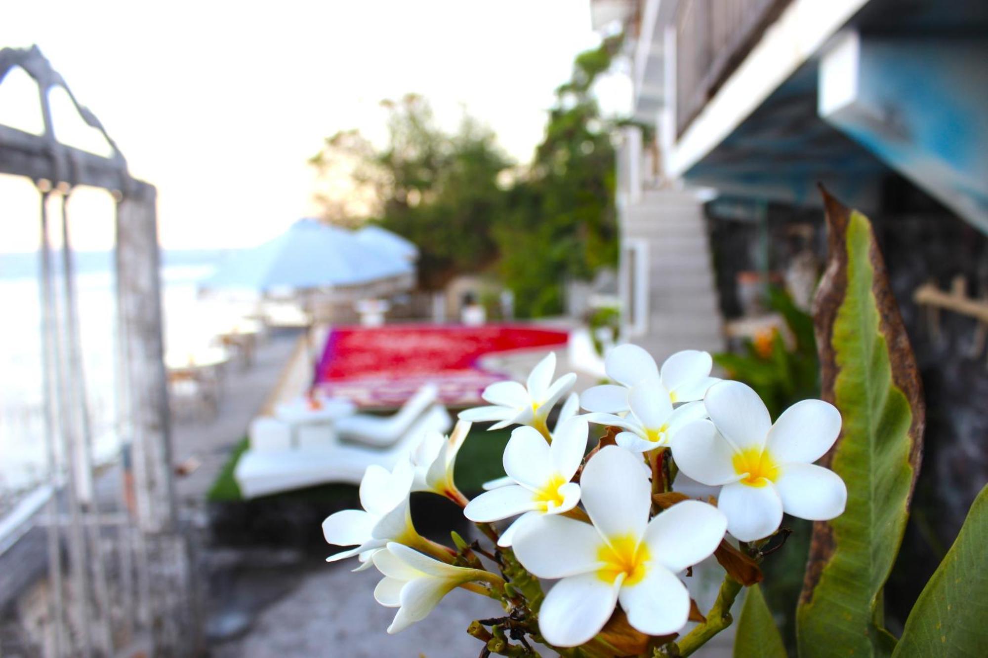 Suite Ocean Blue Batununggul Exterior foto